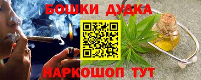 МДПВ Гусев