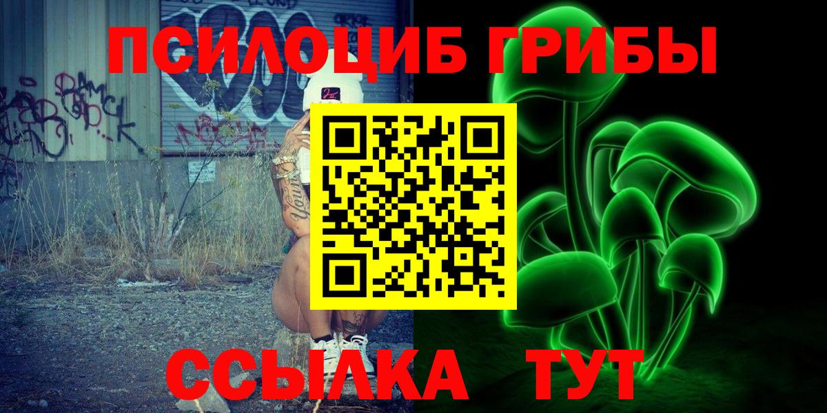 Псилоцибиновые грибы Cubensis Малгобек