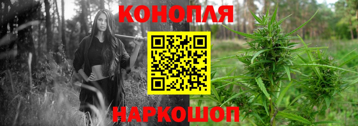 Марихуана планчик  Каннабис планчик  Малгобек  Вход с VPN  Каннабис сатива 